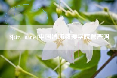 开原中国消防救援学院管严吗