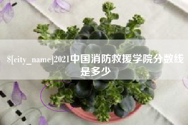 开原2021中国消防救援学院分数线是多少