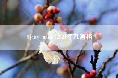 开原2821年九宫格