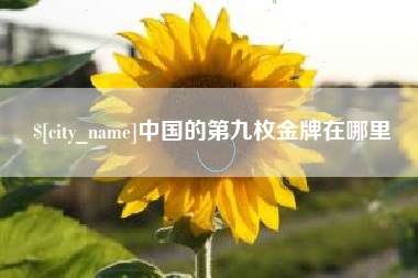 开原中国的第九枚金牌在哪里