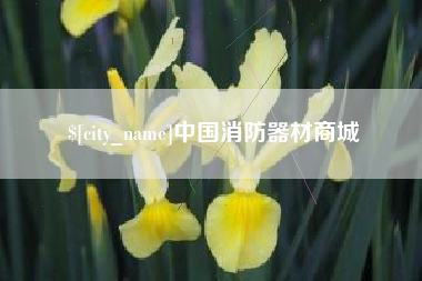 开原中国消防器材商城