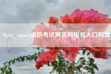 开原消防考试网官网报名入口网址
