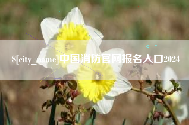 开原中国消防官网报名入口2024