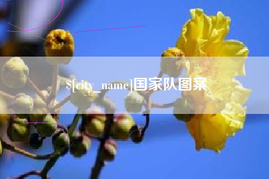 开原国家队图案