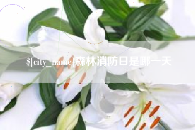 开原森林消防日是哪一天