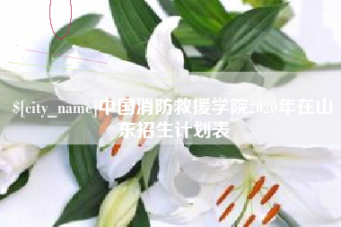 开原中国消防救援学院2020年在山东招生计划表