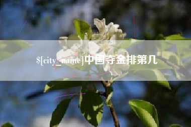 开原中国夺金排第几