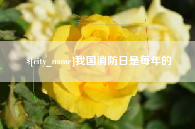 开原我国消防日是每年的