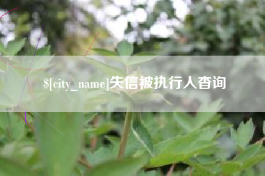 开原失信被执行人杳询