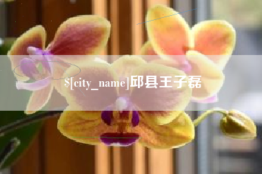 开原邱县王子磊
