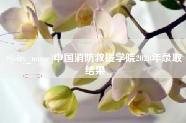 开原中国消防救援学院2020年录取结果