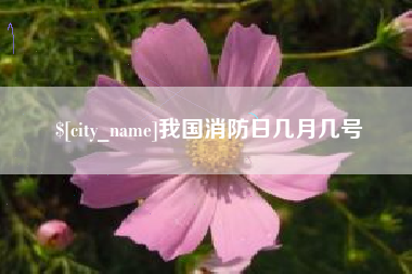 开原我国消防日几月几号