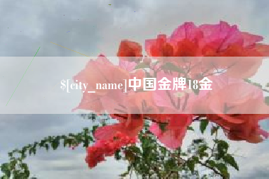 开原中国金牌18金