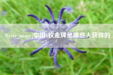 开原中国6枚金牌是哪些人获得的