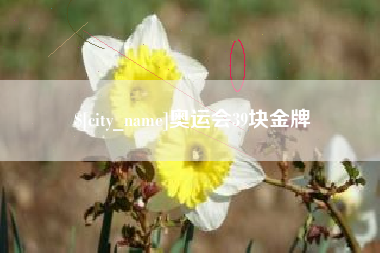 开原奥运会39块金牌
