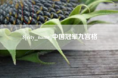 开原中国冠军九宫格