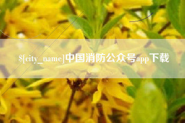 开原中国消防公众号app下载