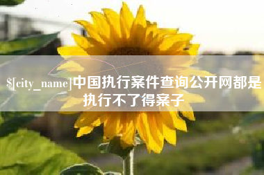 开原中国执行案件查询公开网都是执行不了得案子