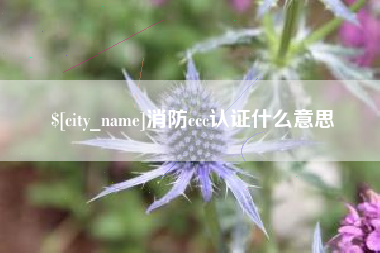 开原消防ccc认证什么意思