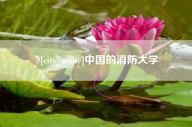 开原中国的消防大学