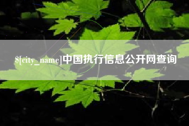 开原中国执行信息公开网查询
