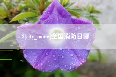 开原全国消防日哪一