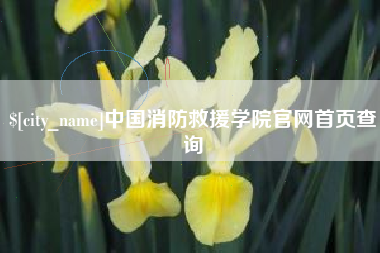 开原中国消防救援学院官网首页查询