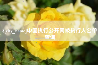 开原中国执行公开网被执行人名单查询