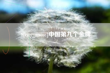 开原中国第九个金牌