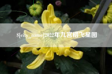 开原2022年九宫格飞星图