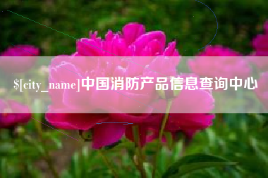 开原中国消防产品信息查询中心