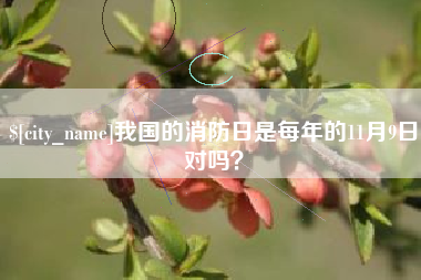 开原我国的消防日是每年的11月9日对吗？