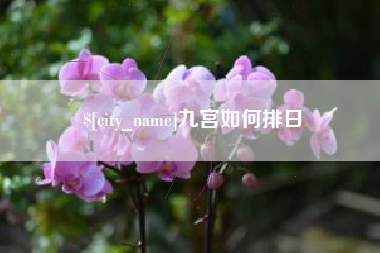 开原九宫如何排日