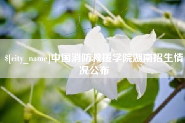 开原中国消防救援学院湖南招生情况公布