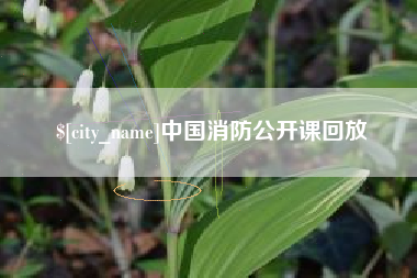 开原中国消防公开课回放