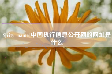 开原中国执行信息公开网的网址是什么