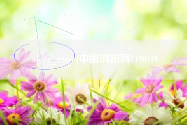 开原中国消防网1190119