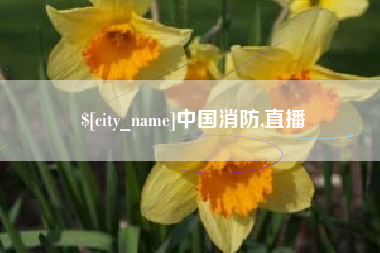 开原中国消防,直播