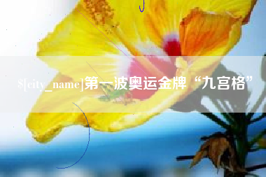 开原第一波奥运金牌“九宫格”