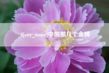 开原中国那几个金牌