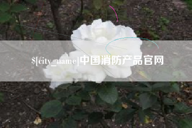 开原中国消防产品官网