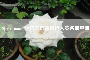 开原中国失信被执行人员名单查询