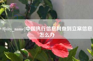 开原中国执行信息网查到立案信息怎么办