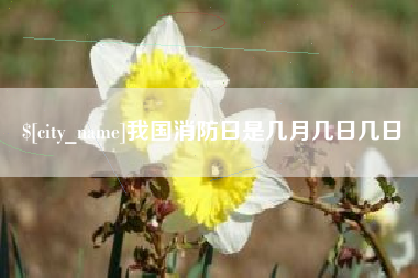 开原我国消防日是几月几日几日