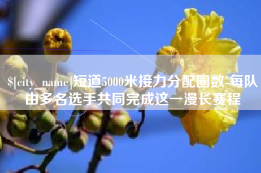 开原短道5000米接力分配圈数-每队由多名选手共同完成这一漫长赛程