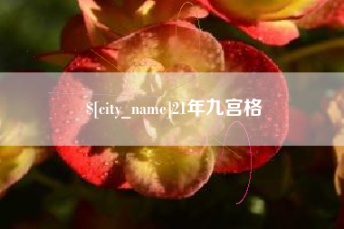 开原21年九宫格