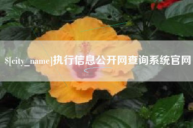 开原执行信息公开网查询系统官网