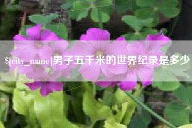 开原男子五千米的世界纪录是多少
