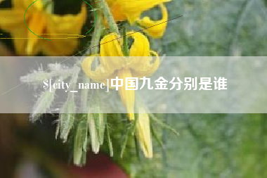 开原中国九金分别是谁