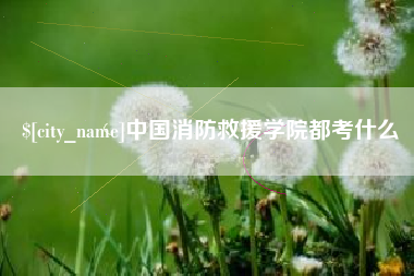 开原中国消防救援学院都考什么
